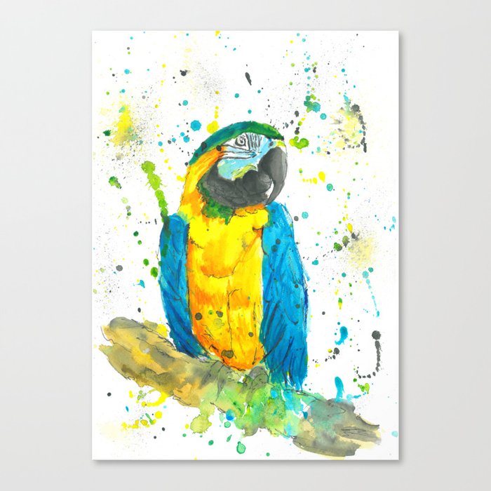 Blue Gold Macaw Watercolor Painting Canvas Print By