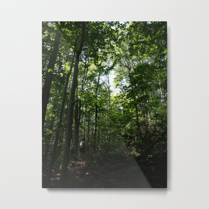 Treetops Metal Print