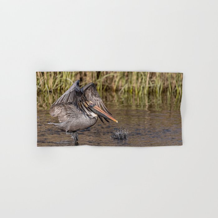 Pelican Taking off on the Bayou Hand & Bath Towel