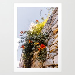 Vibrant Flowers on Brick Wall | Travel Photography in Greece Art Print