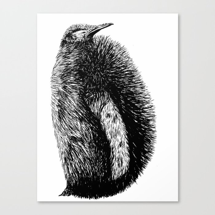 Penguin sketch Canvas Print