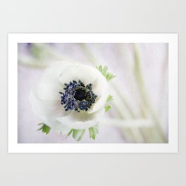 anemone Art Print