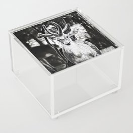 Spot Me - Realistic Deer Drawing Acrylic Box