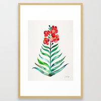 Cat Coquillette Society6