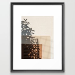 Shadow House Facade Framed Art Print