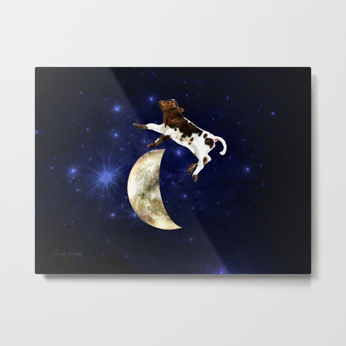 Calf Jumped Over the Moon Metal Print