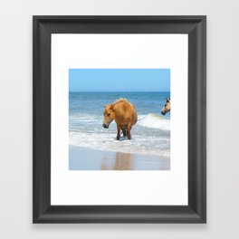 Watercolor Horse 48, Assateague Pony, Assateague, Maryland, Watery Relief Framed Art Print