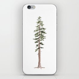 Coastal Redwood Watercolor iPhone Skin
