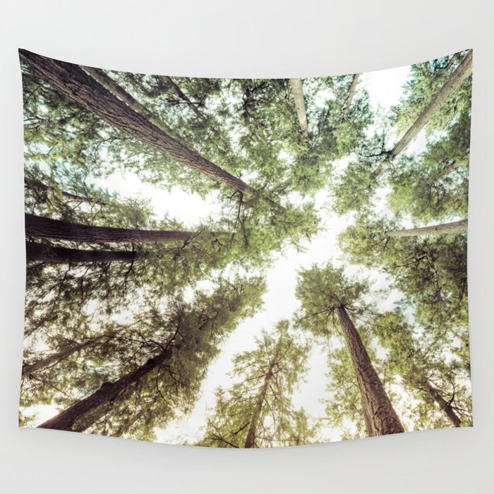 Green Forest Sky Trees Wall Tapestry
