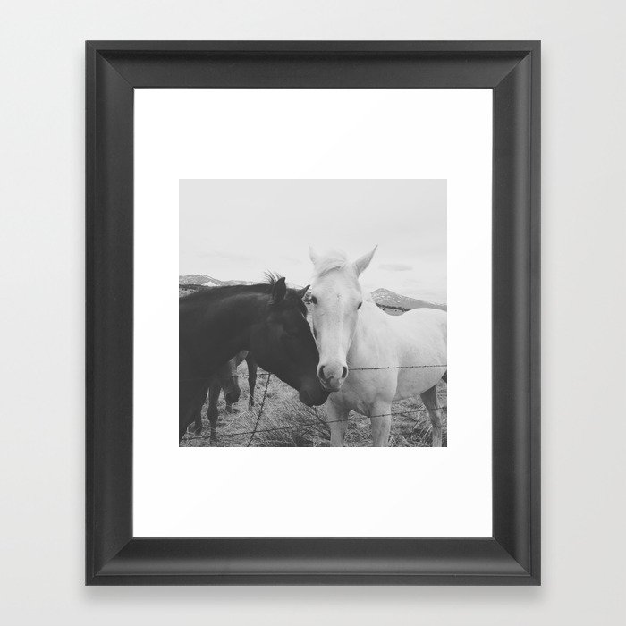 Horse Pair Framed Art Print