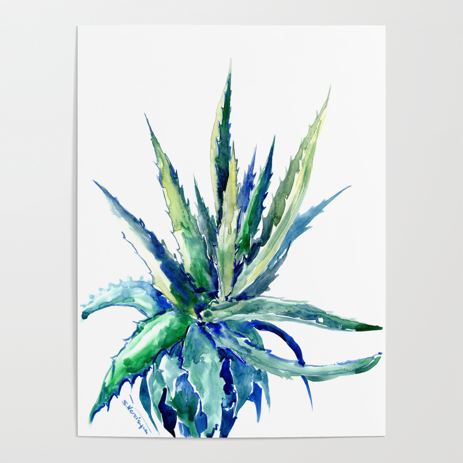 Aloe Vera Succulent Plants Turquoise Blue Desert Plants Succulent Design Poster By Surenart Society6