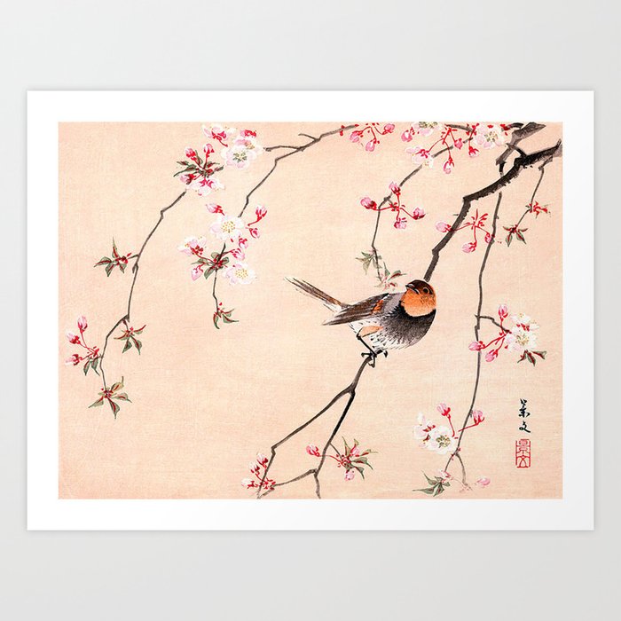 Peach Tree Robin Art Print