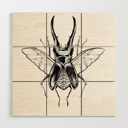 beetle Wood Wall Art