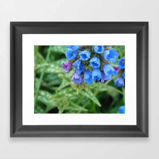 Bluebell Framed Art Print