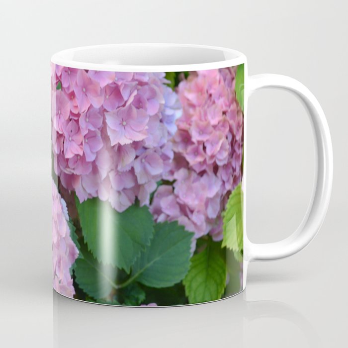 The pink Hortensia hydrangea bush (Hydrangea macrophylla) Coffee Mug