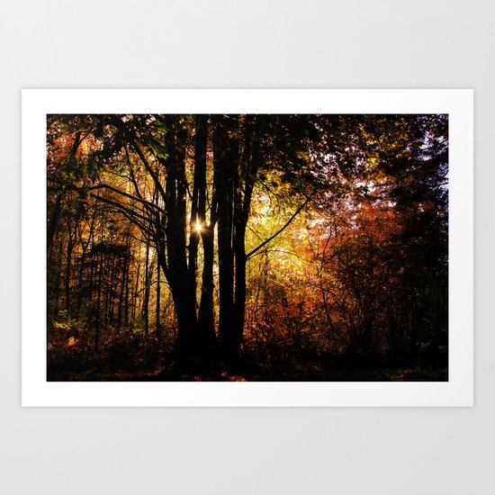 shadows into light Art Print