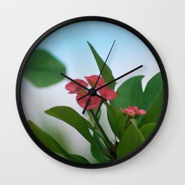 Maldives Flower Wall Clock