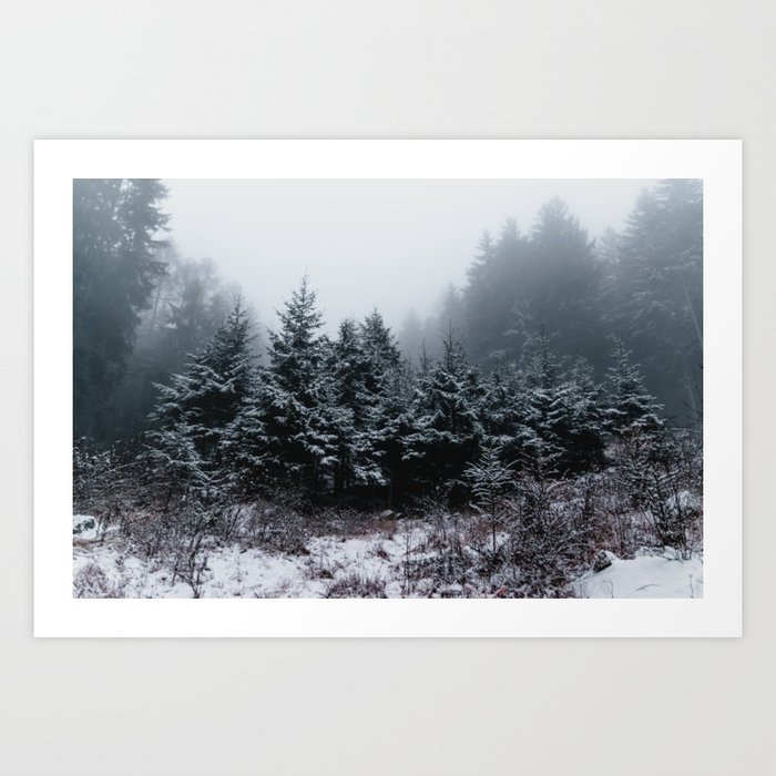 Blue Forest Trees | Nature and Landscape Photography Art Print