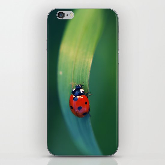 Ladybug iPhone & iPod Skin