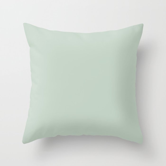 Light Sage Green Solid Throw Pillow