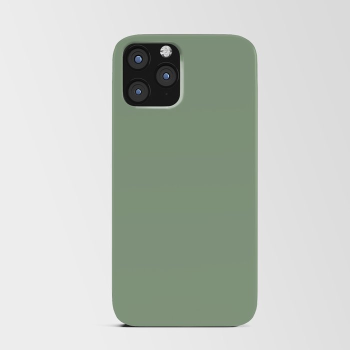 Light Sage Green Solid Color Pairs To Sherwin Williams Nurture Green SW 6451 iPhone Card Case