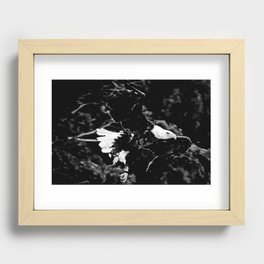 Bald Eagle in flight black and white Recessed Framed Print