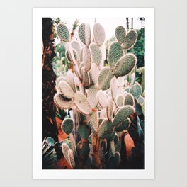 cactus love Art Print