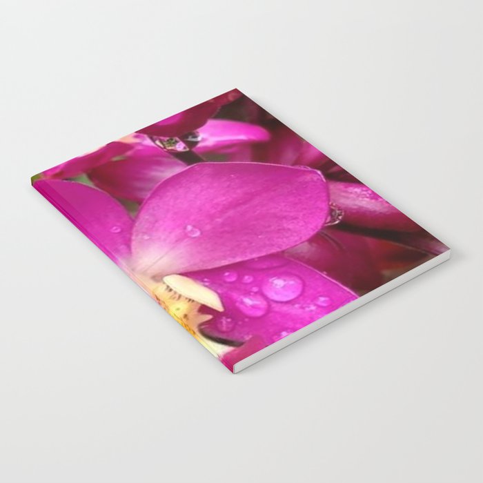 Tropical Orchid After The Rain Notebook