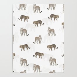 Modern Jungle Leopard Animals White Pattern Poster