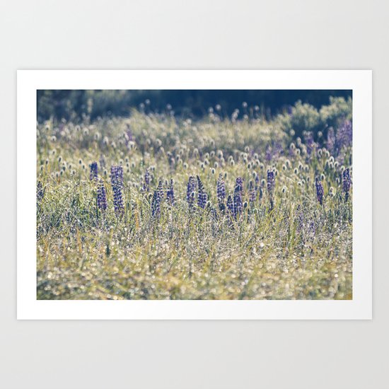 Meadow Art Print