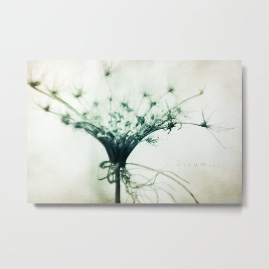 Dream... Metal Print