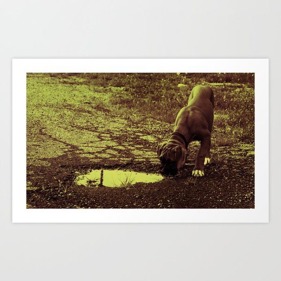 Odie Art Print