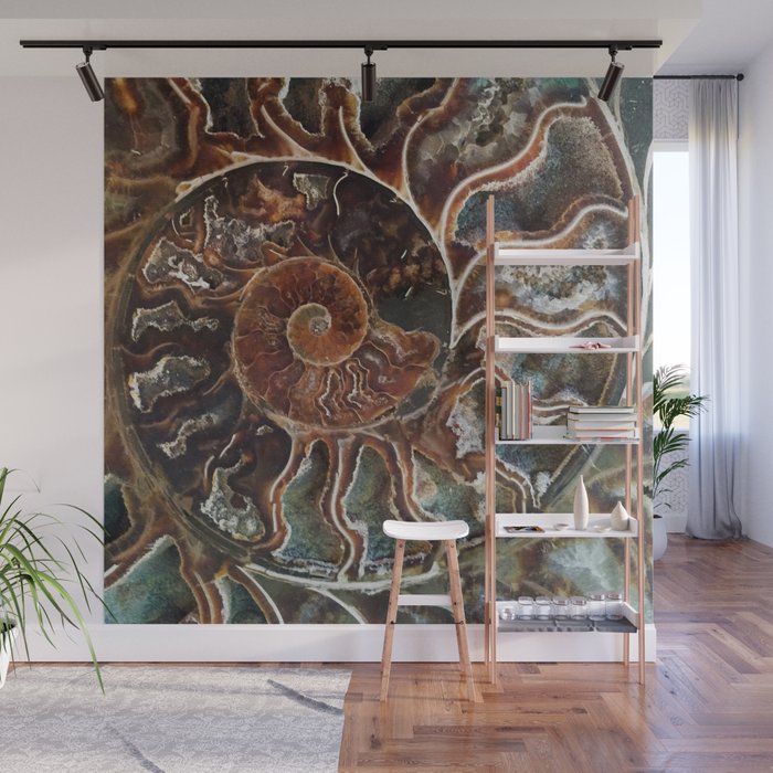 Fossilized Shell Wall Mural