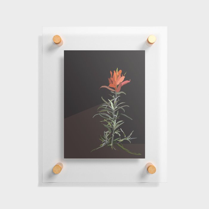 Indian Paintbrush In Bloom Floating Acrylic Print