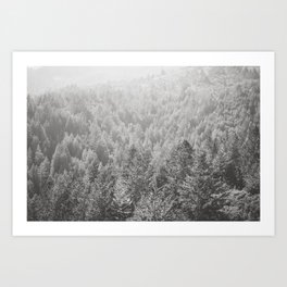 Mt Tamalpais in Shades of Gray Art Print