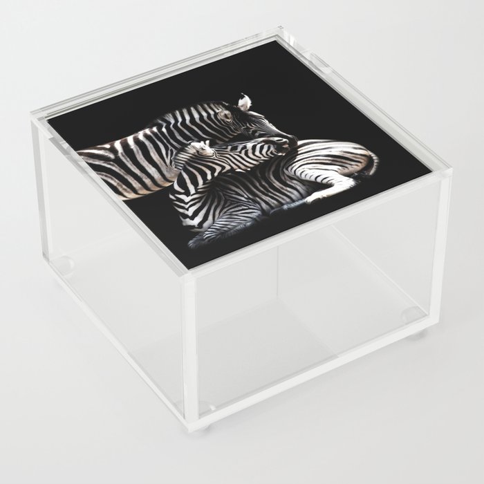 Pair of Zebras Acrylic Box