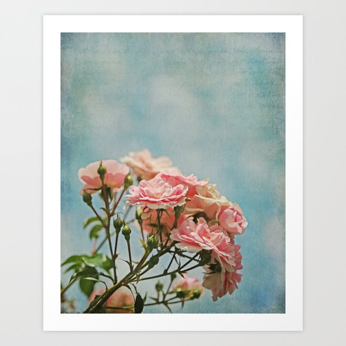 Vintage Inspired Pink Roses in Pastel Blue Sky with French Script Art Print