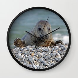 Gray seal - Kegelrobbe Wall Clock