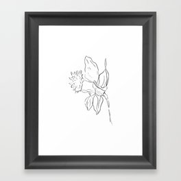 Daffodil Framed Art Print