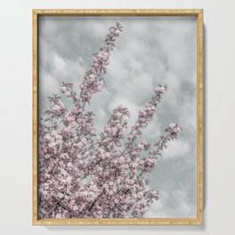 Cherry blossoms with sky view Serving Tray