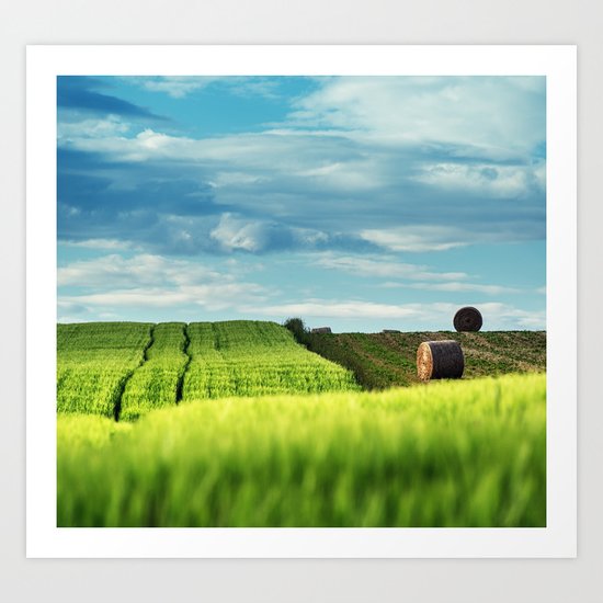 Fields of Green Art Print
