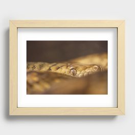 Too Close for Comfort Recessed Framed Print