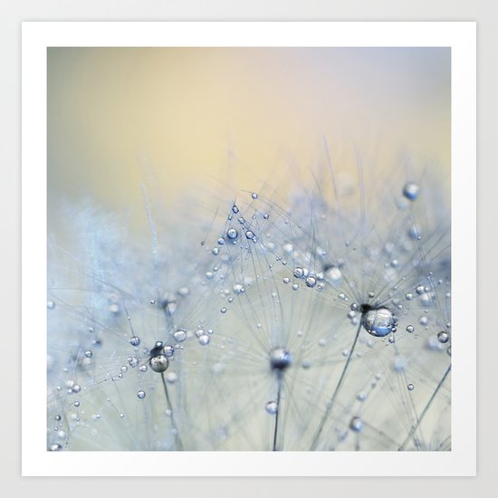 ice blue dandelion Art Print