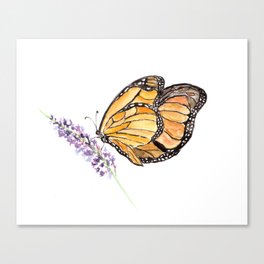 Monarch Butterfly Watercolor Art, Orange Butterfly Painting, Purple Flower Canvas Print