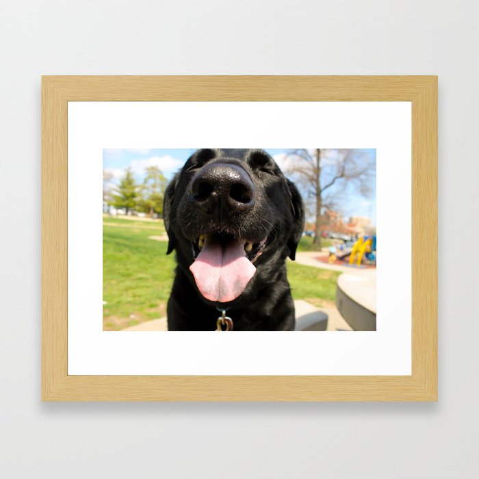Laughing Dog Framed Art Print