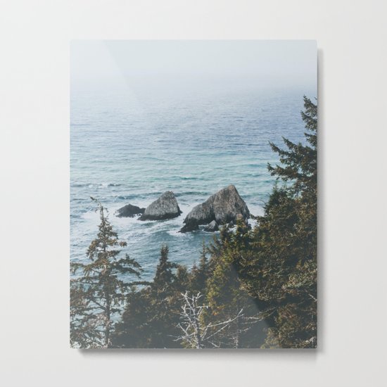 Pacific Northwest Metal Print