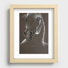 Arabian horse head sketch Recessed Framed Print