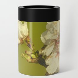 Scottish Highlands Weeping Cherry Blossom with colourful Background Can Cooler