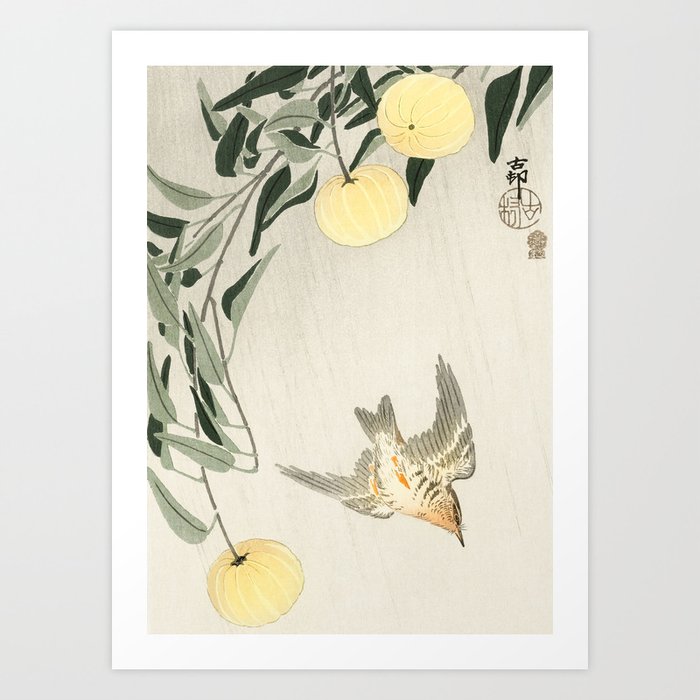 Cuckoo in flight - Japanese vintage woodblock print Art Print