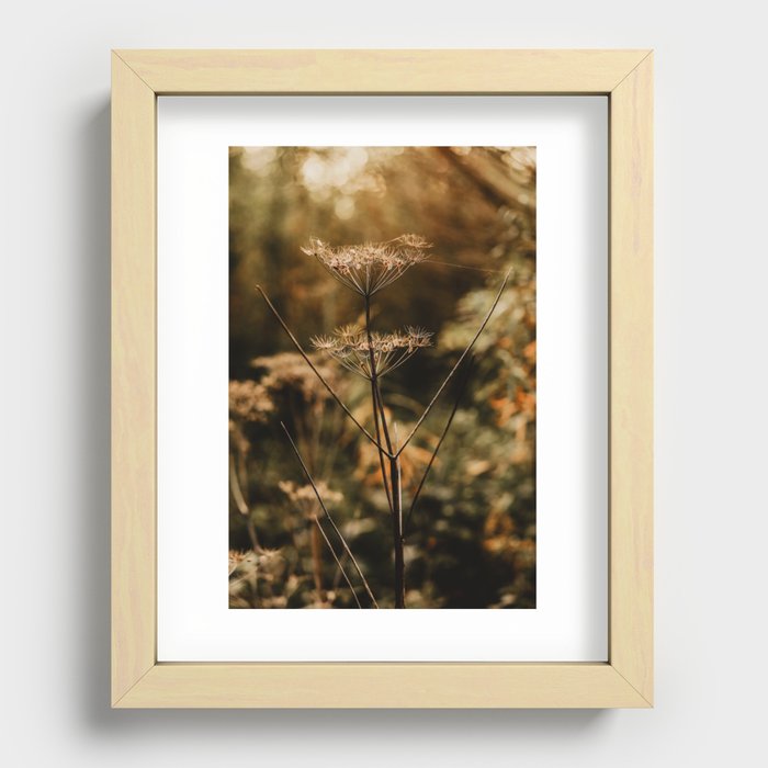 Recessed Framed Print